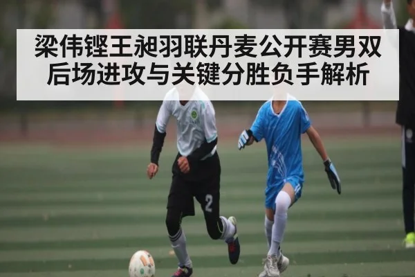 梁伟铿王昶羽联丹麦公开赛男双后场进攻与关键分胜负手解析
